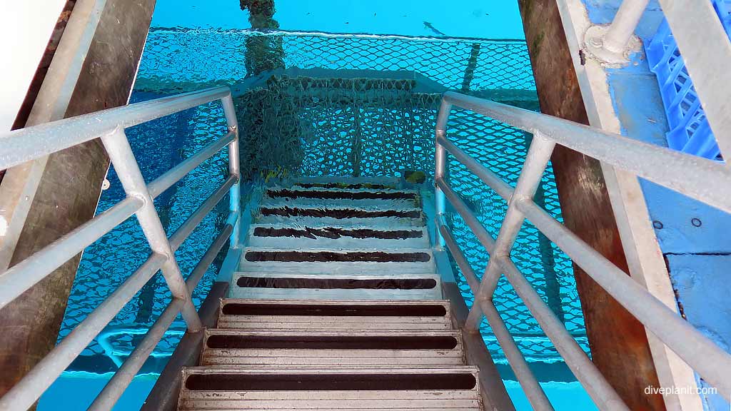 Stairs to entry platform at Reefworld, Whitsundays