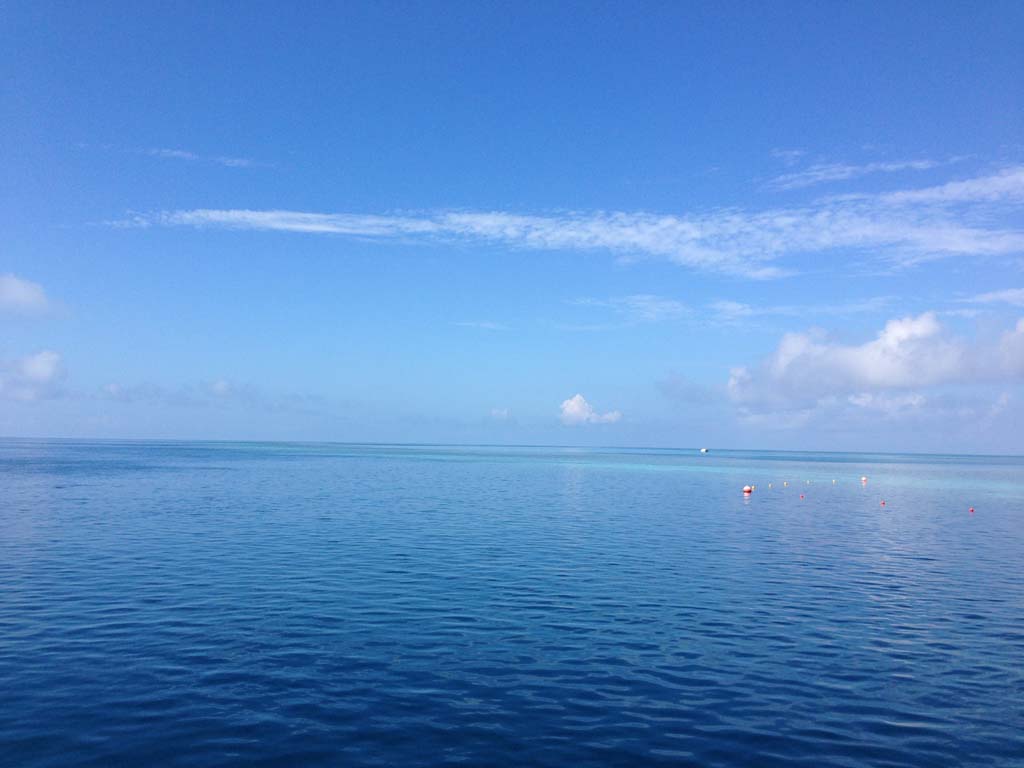 view from reefworld whitsundays