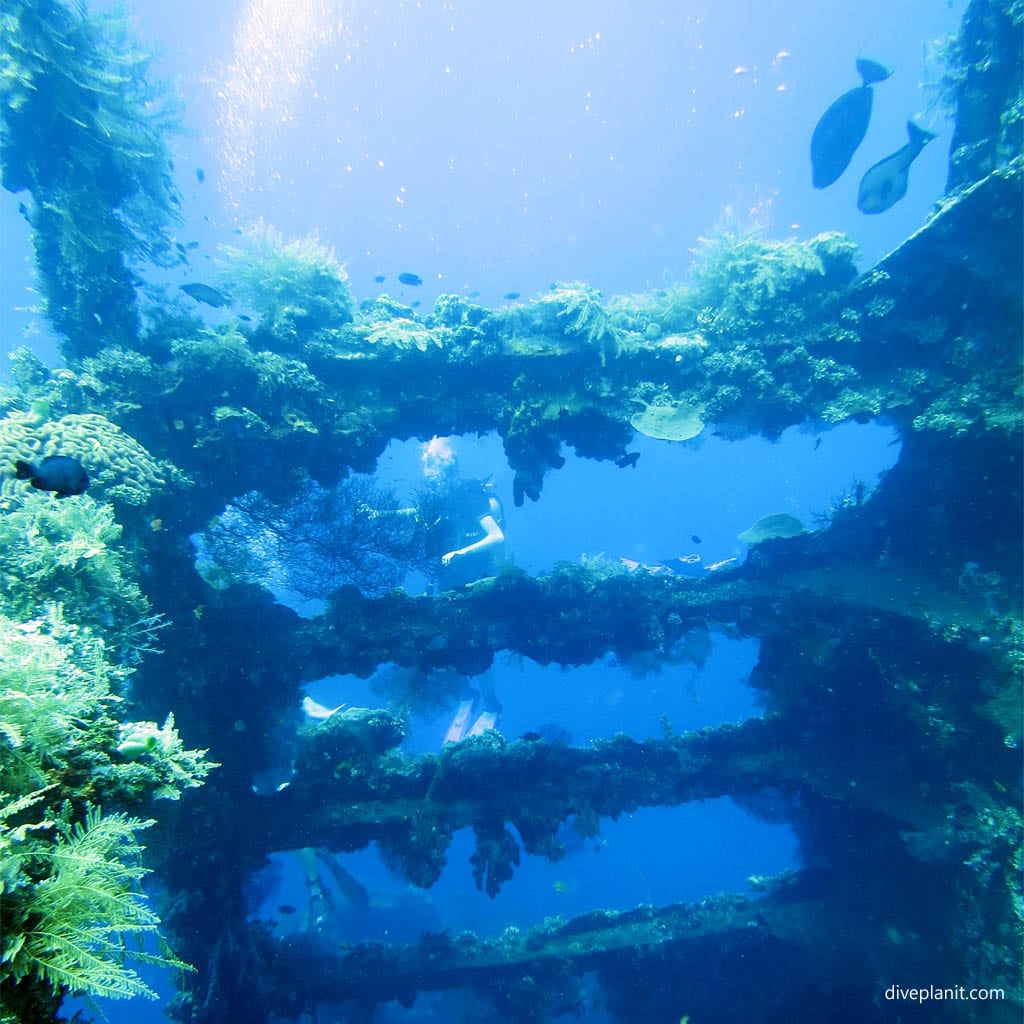 Divers through superstructure diving USAT Liberty at Tulamben Bali Indonesia by Diveplanit