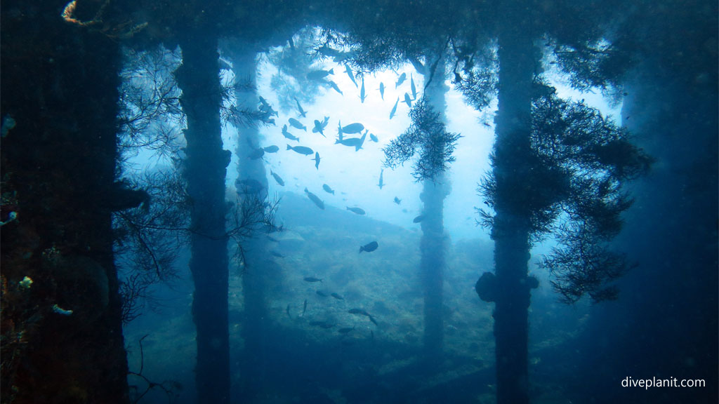 Shot through the decks with silhouettes diving USAT Liberty at Tulamben Bali Indonesia by Diveplanit