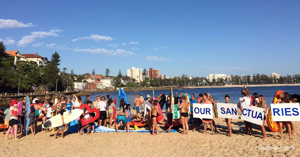 Environmentally aware citizens join the paddle out in support of Sydney’s Marine Park and restoring all NSW’s Marine Sanctuaries