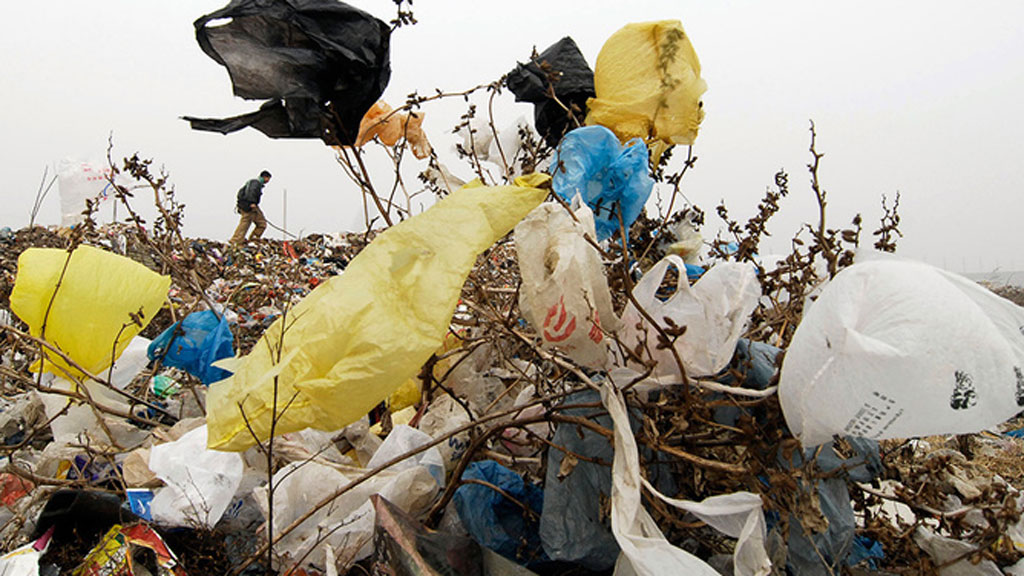 Plastic bag on sale pollution