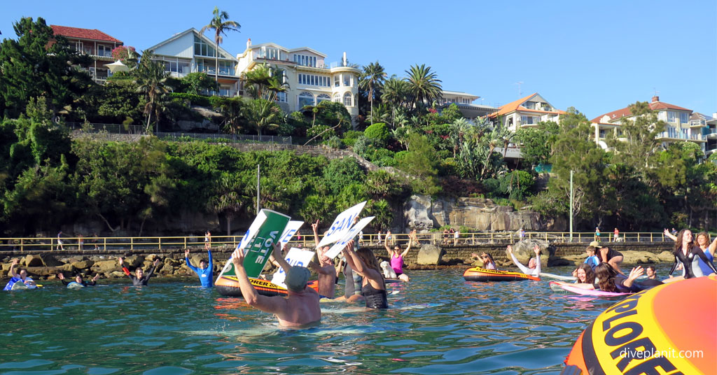 Environmentally aware citizens join the paddle out in support of Sydney’s Marine Park and restoring all NSW’s Marine Sanctuaries