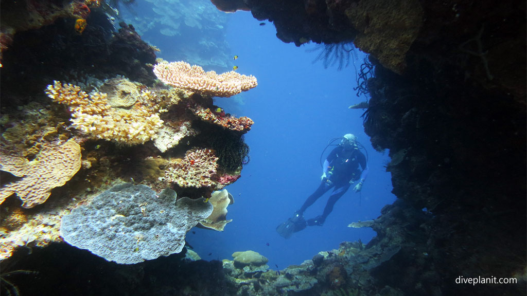 Swim through diving Deacons Reef at Tawali Milne Bay diving PNG by Diveplanit