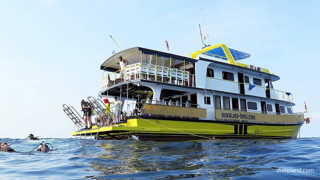 Liveaboards diving holidays enable you to dive the best diving sites in a region often in a floating luxury hotel; scuba diving cruises offer much the same