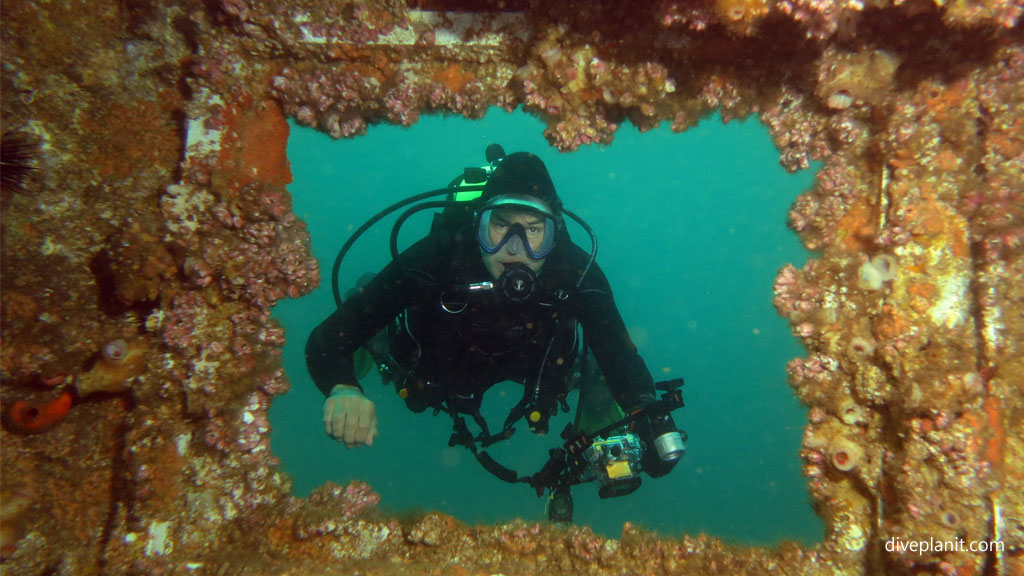 Simon Outside diving Ex HMAS Adelaide with Terrigal Dive at Terrigal NSW Australia by Diveplanit