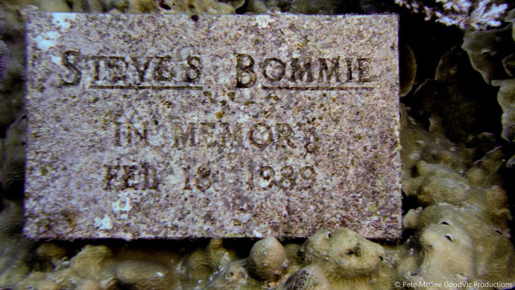 memorial at Steve's Bommie diving the Great Barrier Reef Coral Sea by Pete McGee, GoodViz Productions