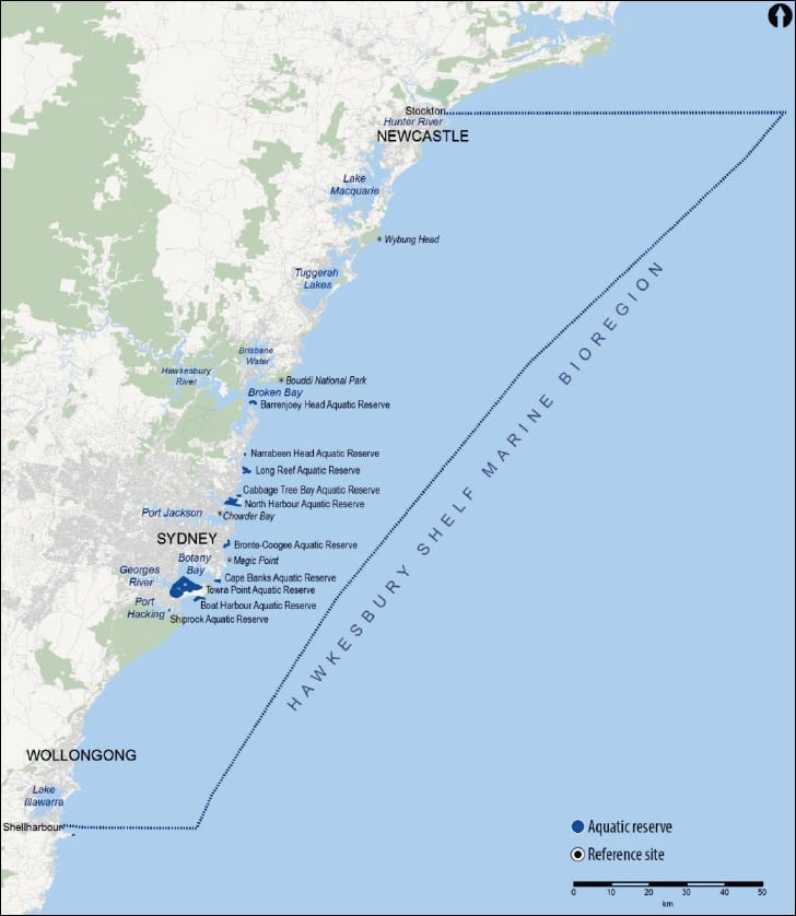 Sydney current has many marine reserves but only one marine sanctuary. Sydney & the Hawkesbury Shelf Marine Bioregion need a network of marine sanctuaries