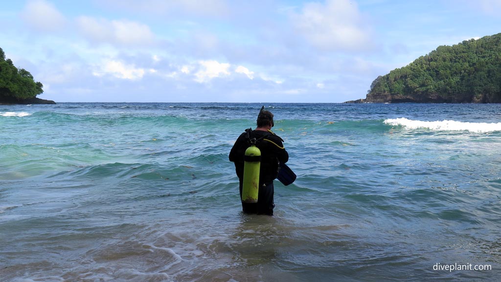 At last we're in the water diving the Marine Sanctuary at Fagatele Bay American Samoa by Diveplanit