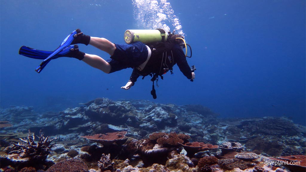 Jo Gopro superglued to his hand diving the Marine Sanctuary at Fagatele Bay American Samoa Diveplanit 7539