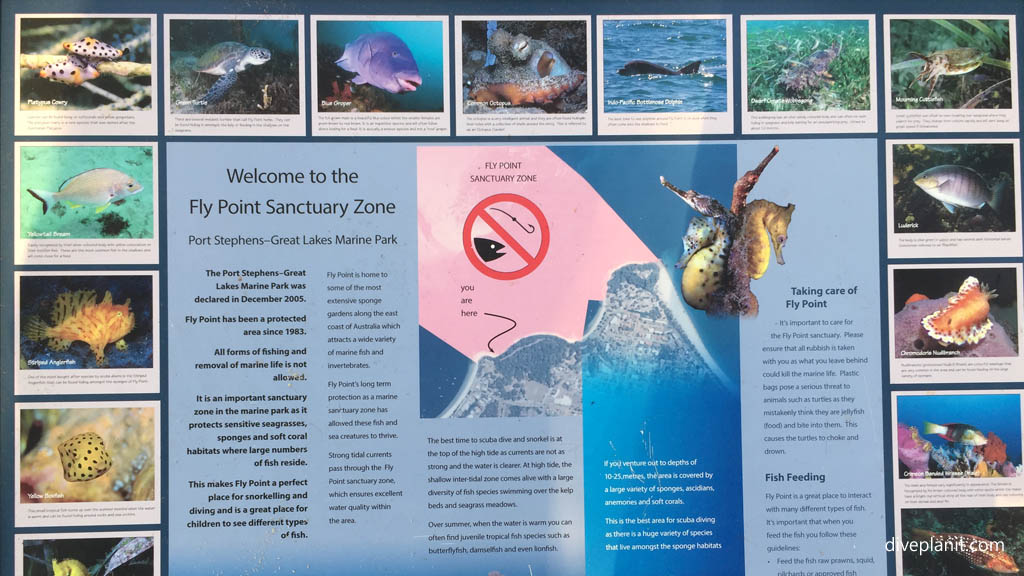 Fly Point-the quality of protection and NEOLI features of marine parks and marine protected areas are more important than size alone Diveplanit Blog