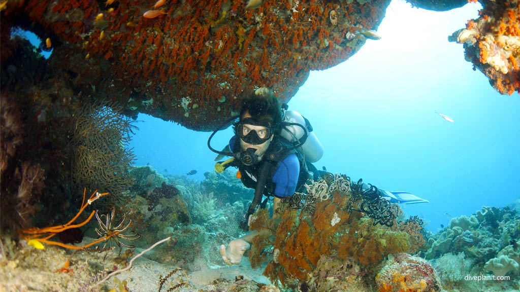 Swim thru with diver diving Blue Magic at Raja Ampat Dampier Strait West Papua Indonesia by Diveplanit