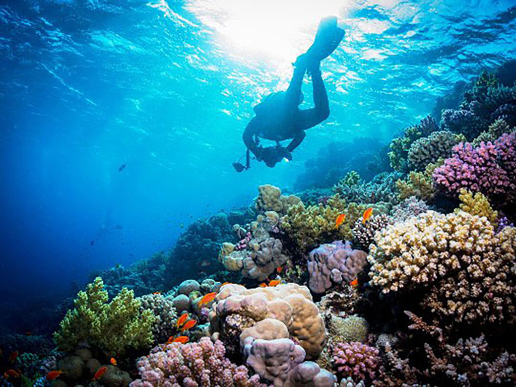 Diving Layang Layang, Malaysia