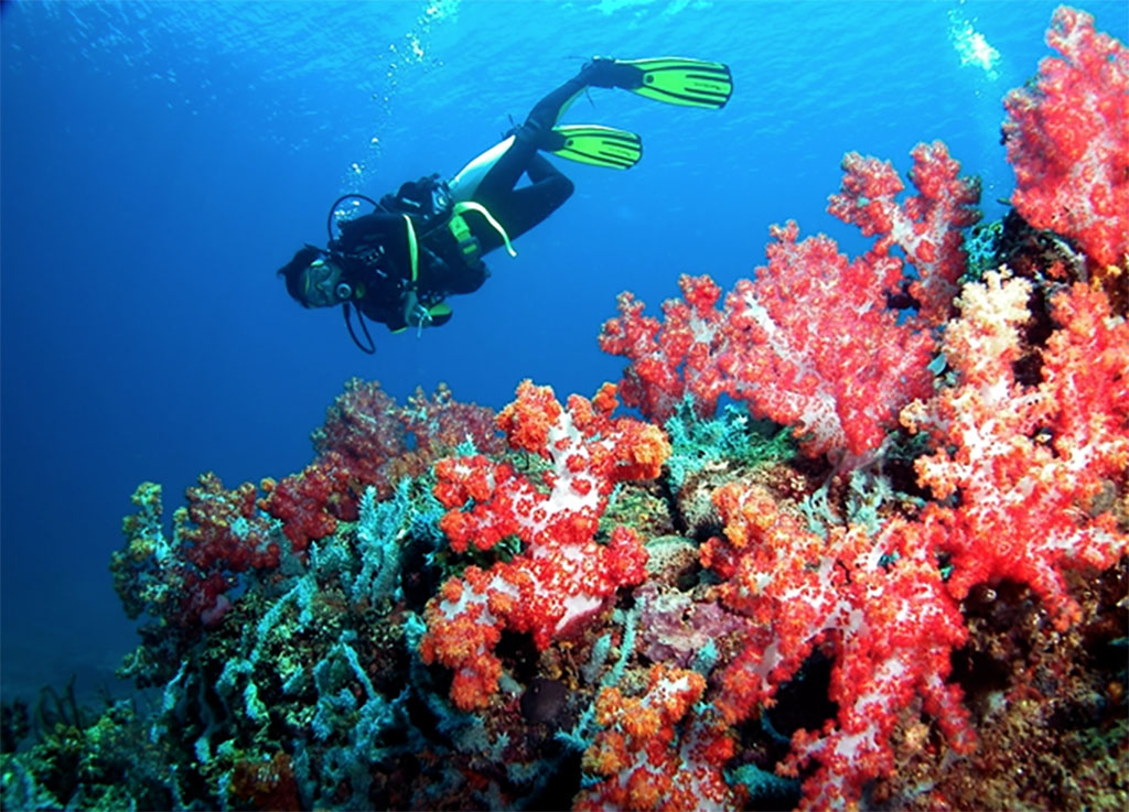 Diving Miri, Sarawak, Malaysia