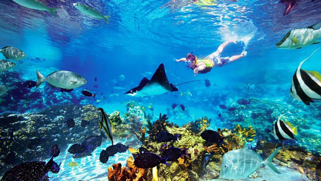 Snorkeling Lang Tengah, Malaysia