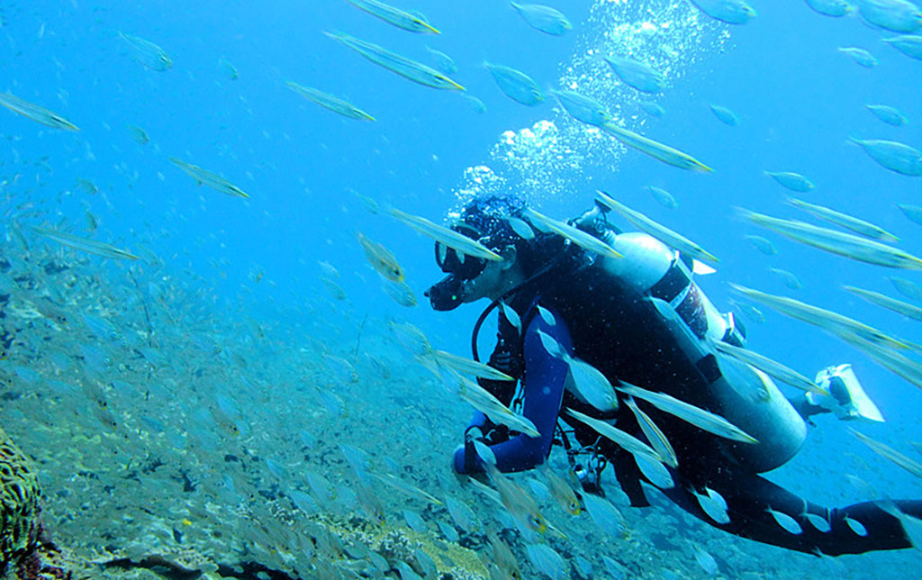 Diving Miri, Malaysia