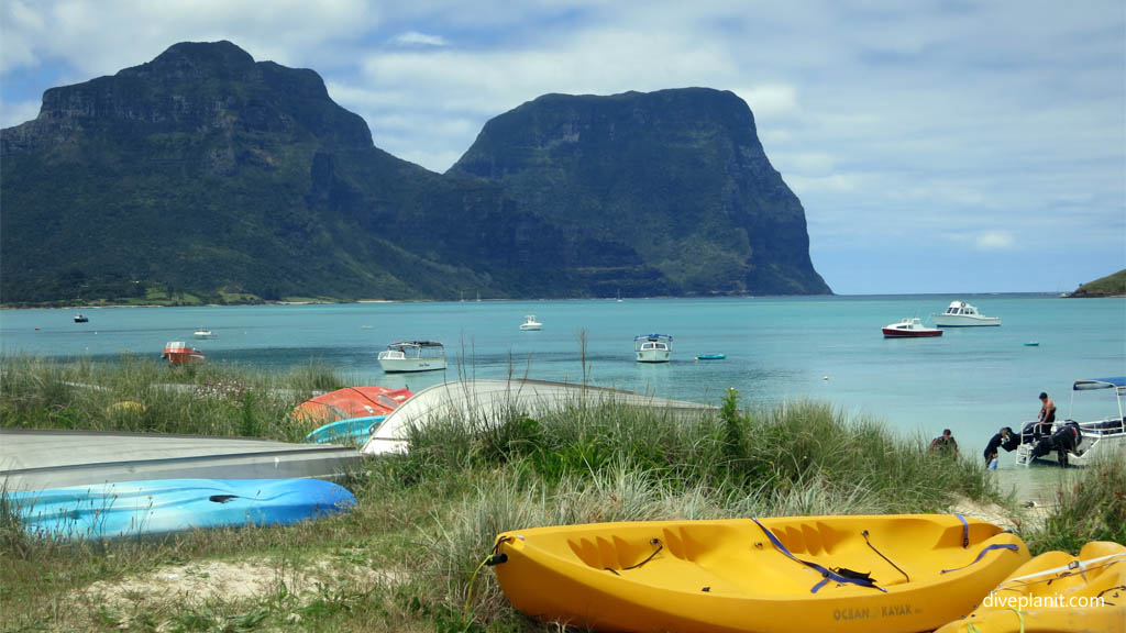 Lord Howe Island Dive Week is a scuba diving holiday package combining the best diving in NSW with luxury accommodation, dining & world-class activities