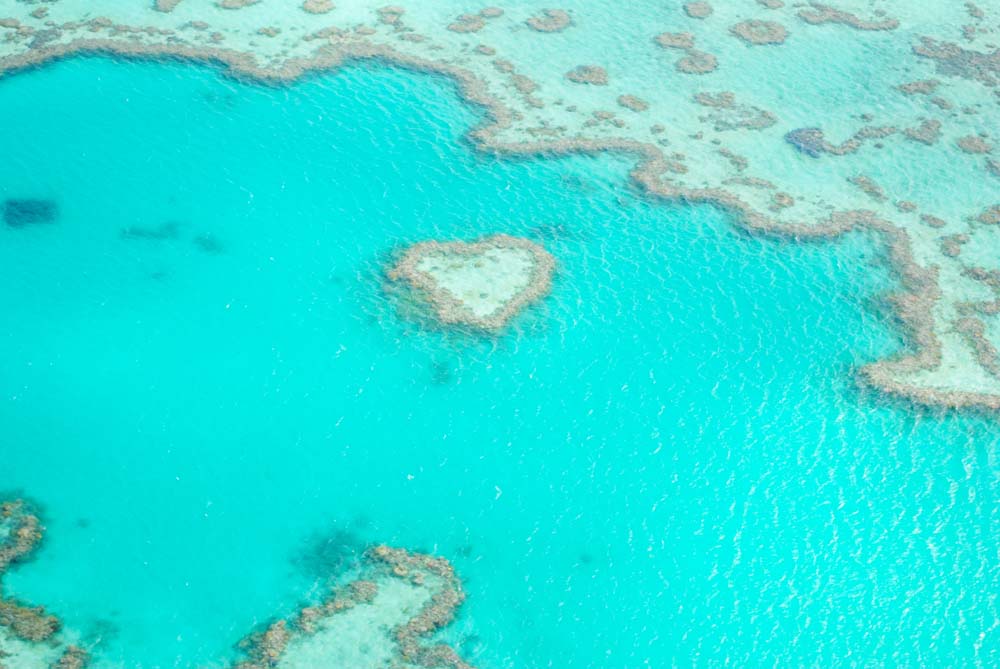 heart reef