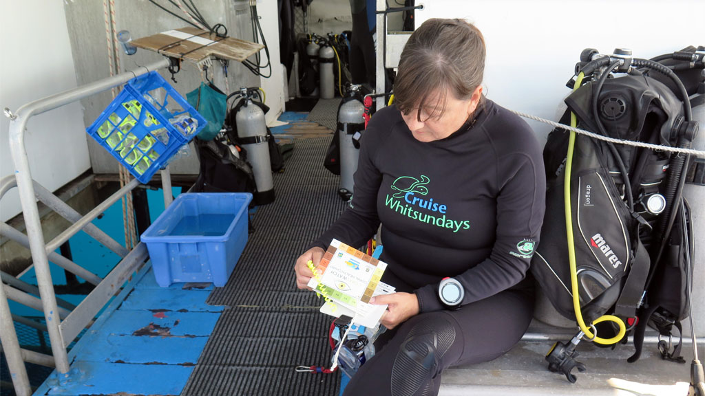 Deb reviewing the CoralWatch Health Chart diving ReefWorld Pontoon Whitsundays Queensland Australia by Diveplanit