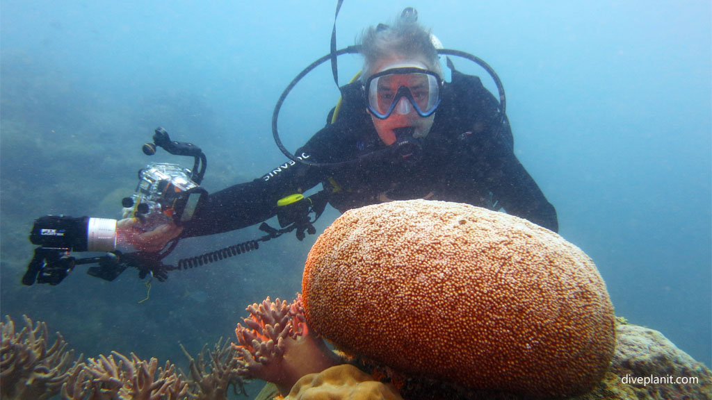 Simon with boulder coral diving Luncheon Bay Hook Island at the Whitsundays Queensland Australia by Diveplanit