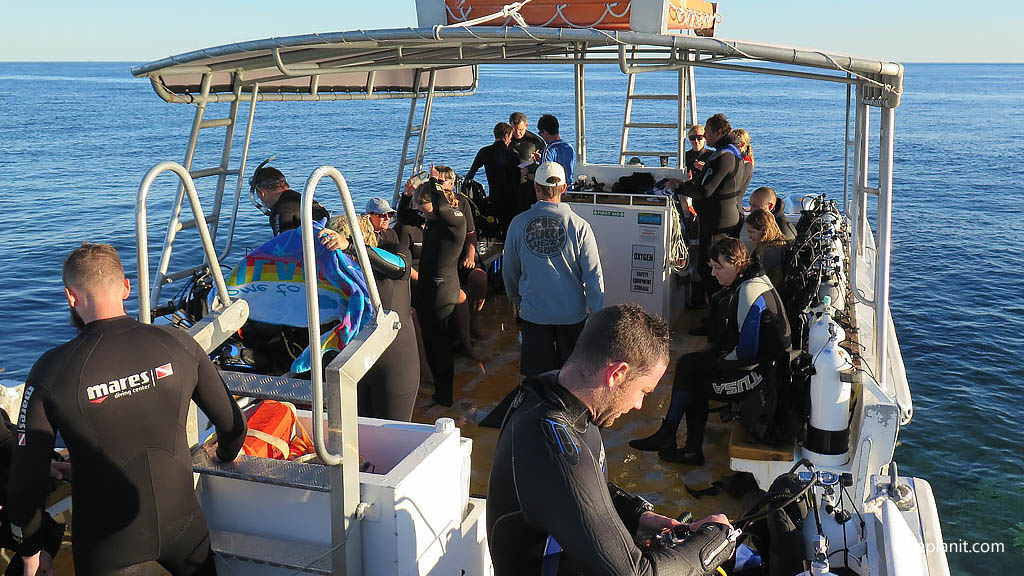 On board the dive boat waiting for the last to surface at Heron Bommie with Heron Island Dive Shop diving Heron Island Diveplanit 9405