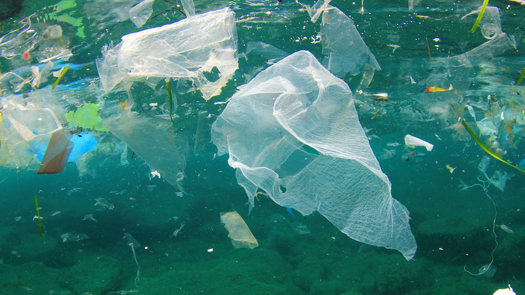 A plastic bag ban is on the agenda of the next NSW Environment Minister meeting. Send the Minister a one-line note stating your support