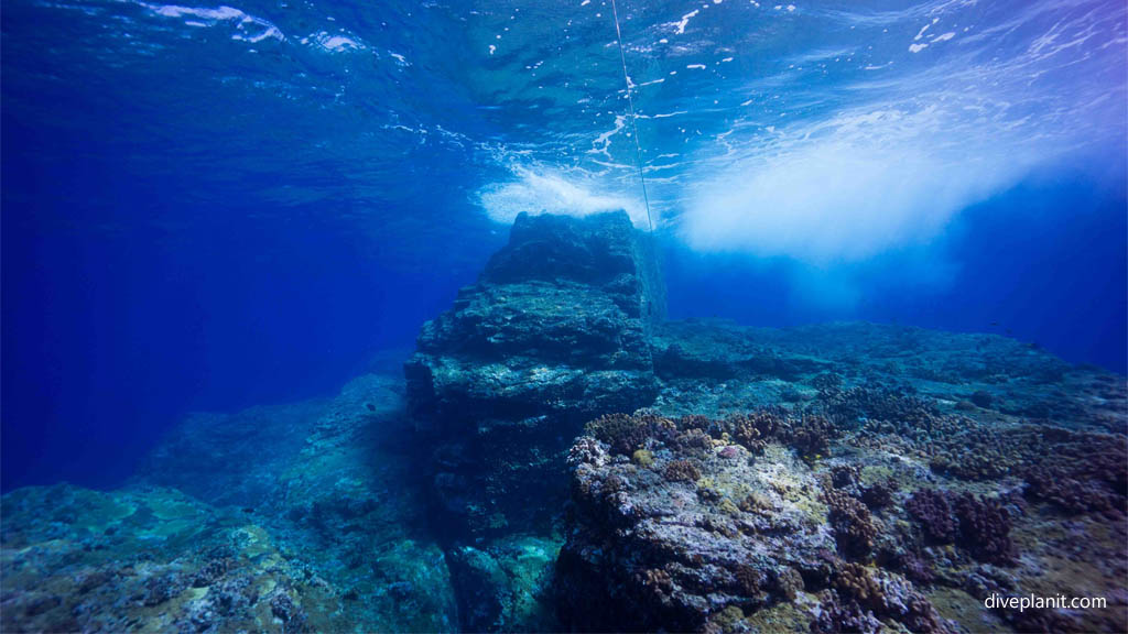 Pinnacle that breaks the surface at Kuba West diving Kerama Okinawa Japan by Diveplanit