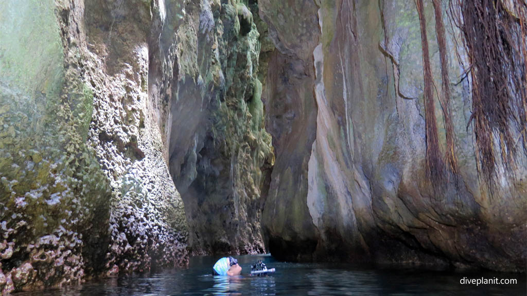 Inside the cut diving Leru Cut at Russell Islands Solomon Islands by Diveplanit