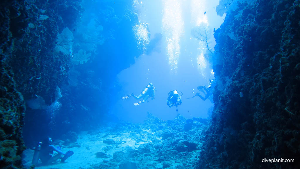 Exiting the cut diving Leru Cut at Russell Islands Solomon Islands by Diveplanit