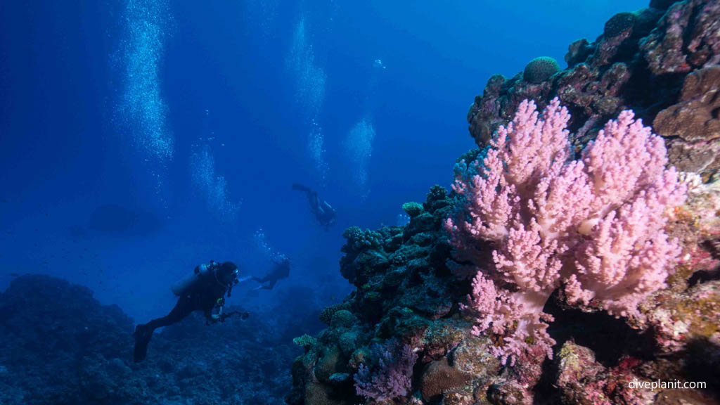 Depth to the sand at Umanzaki diving Kerama Okinawa Japan by Diveplanit