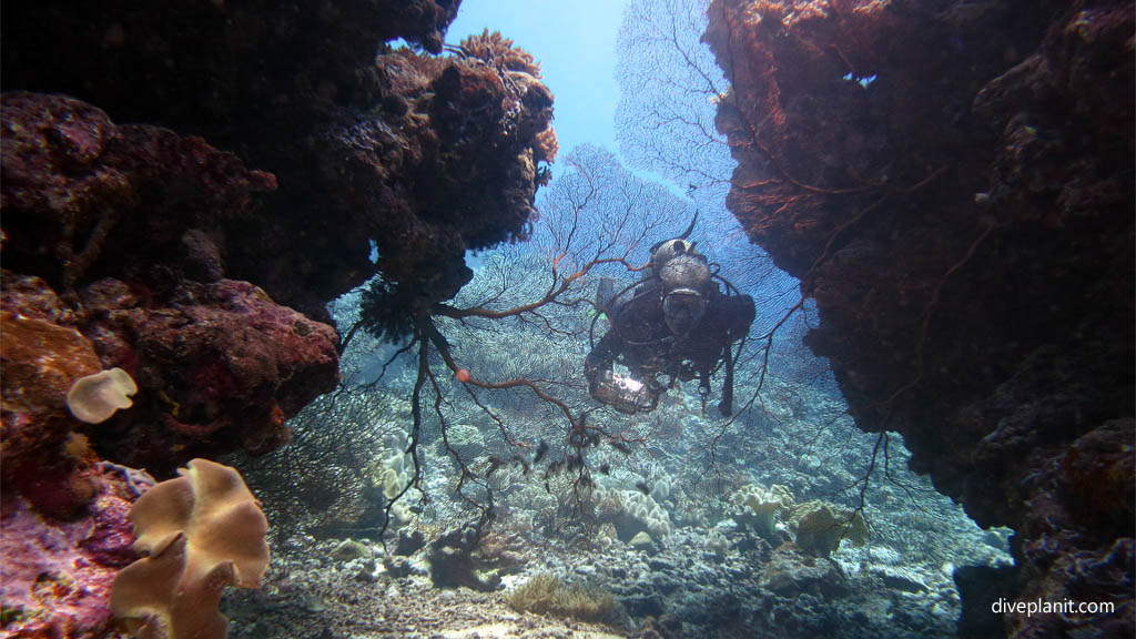 Life behind the veil diving Karumolun Point at Russell Islands Solomon Islands by Diveplanit