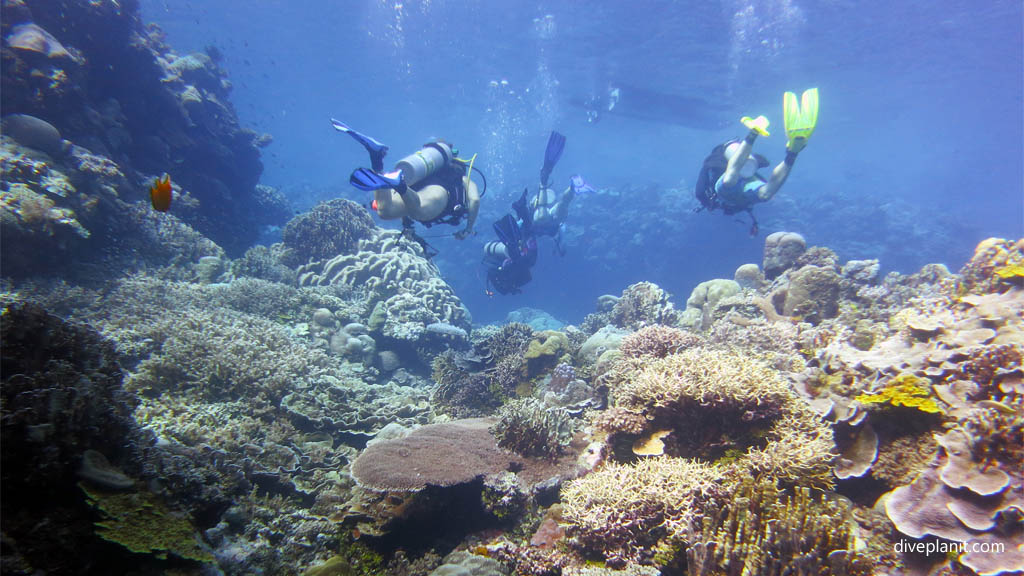 Divers head to the mirror pond diving Mirror Pond at Russell Islands Solomon Islands by Diveplanit