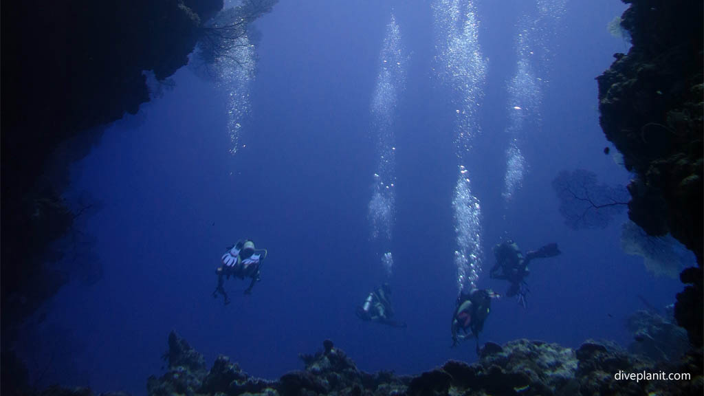 Divers in the deep blue diving Leru Cut at Russell Islands Solomon Islands by Diveplanit