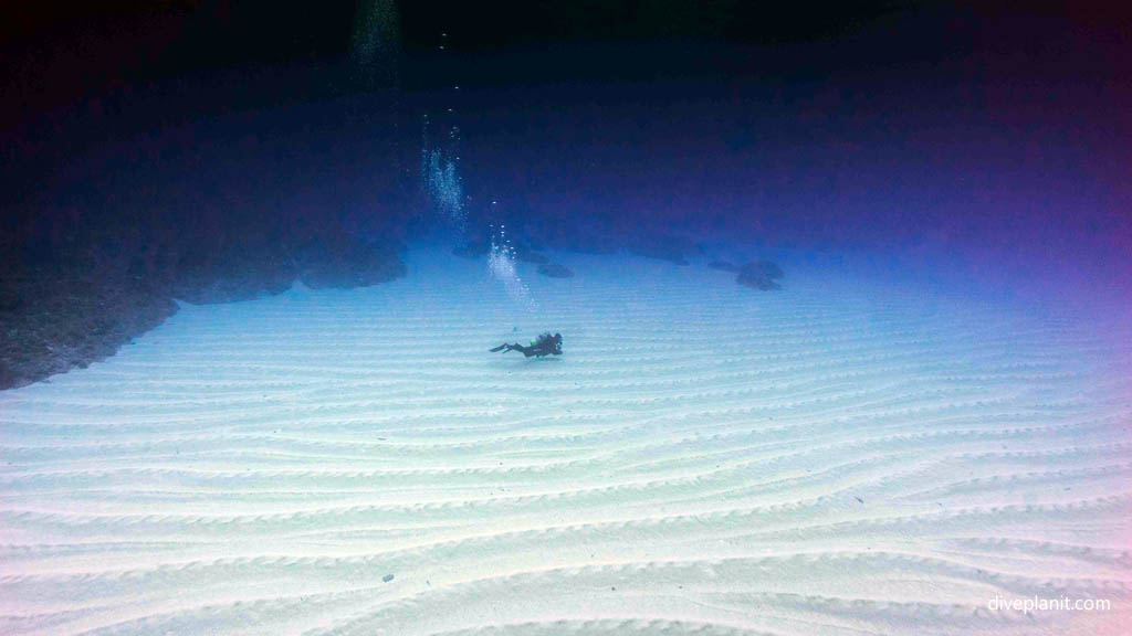 Diver over sand in the distance at Yonaguni Okinawa Japan by Diveplanit