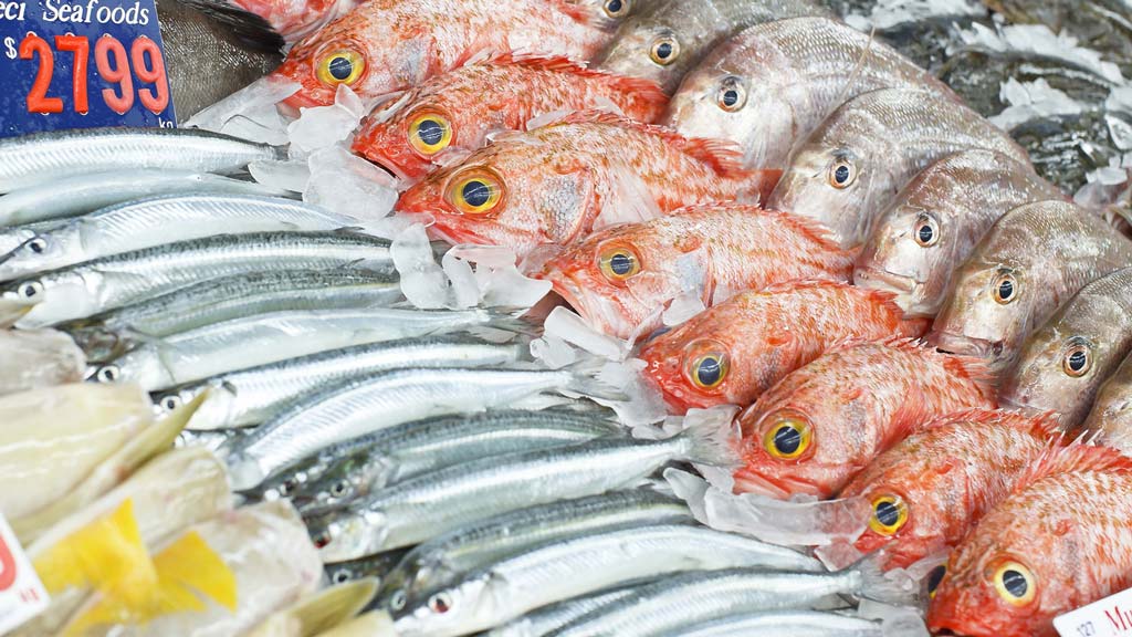 Finding sustainable seafood is easier thanks to the Marine Stewardship Council MSC addressing the problem of unsustainable fishing and labelling seafood