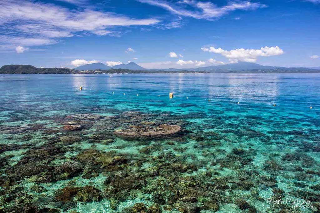 Save Bangka Island view of coral