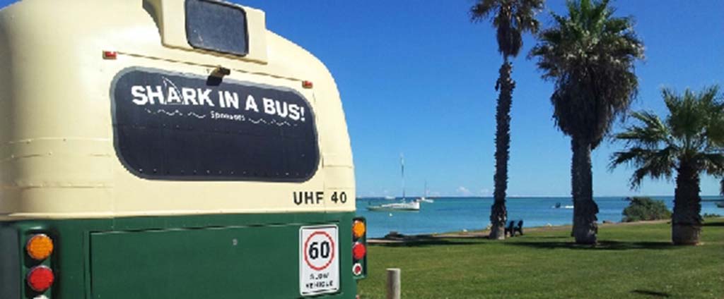 Shark in a Bus