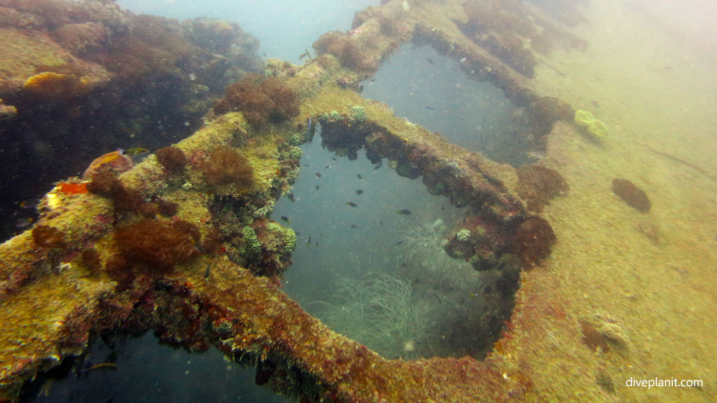 Actually wreck at SS Yongala Wreck diving Great Barrier Reef Queensland Australia by Diveplanit