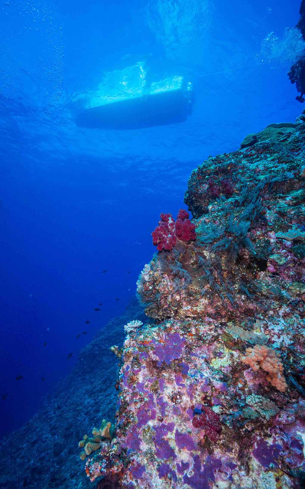 Reef-below-boat-above-at-Kuba-West-diving-Kerama-Okinawa-Japan