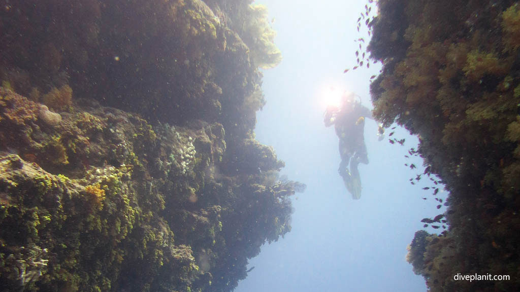 Diver shines light through vertical slot diving Breath-taker at Volivoli Fiji Islands by Diveplanit