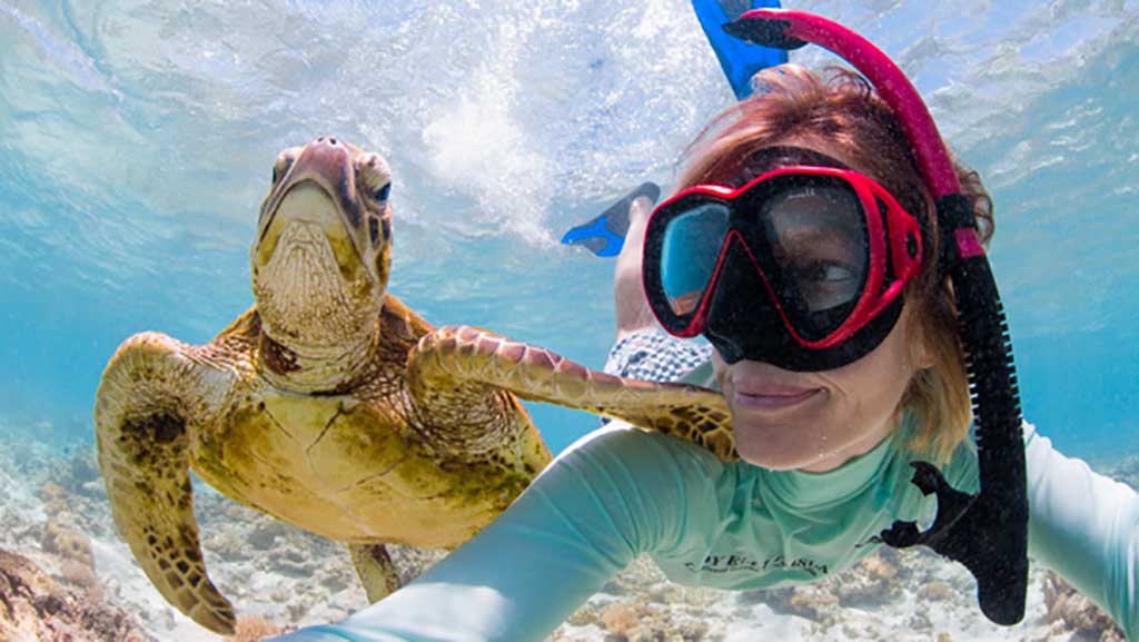 Kara Murphy turtle Lady Elliot Island