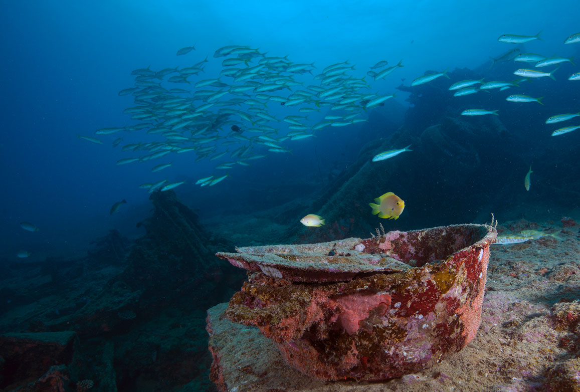 Diveplanit diving vanuatu santo pacific dive million dollar point jj