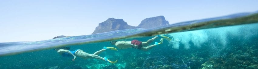 With a custom-built dive boat, Pro Dive Lord Howe Island can get you comfortably and safely to all the best dive sites at Lord Howe including Ball’s Pyramid