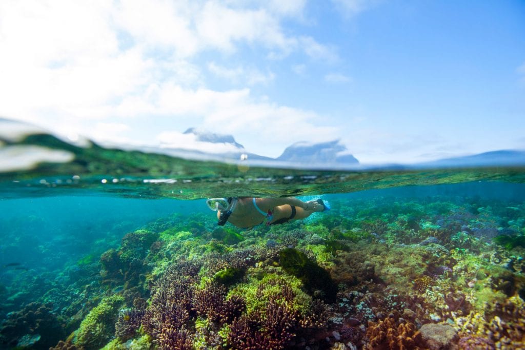 Pro Dive Lord Howe Island Dive Centre NSW Australia - Woman snorkelling