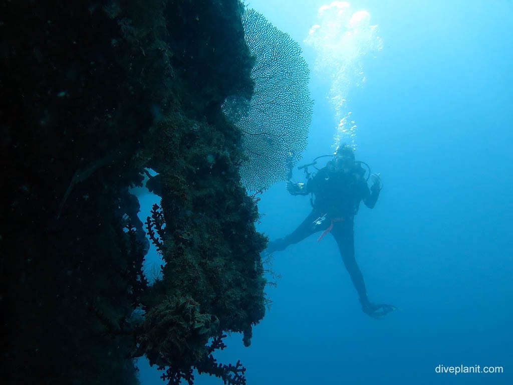 8136 Silhouette with seafan and diver at Bonegi 1 diving Guadalcanal DPI 8136