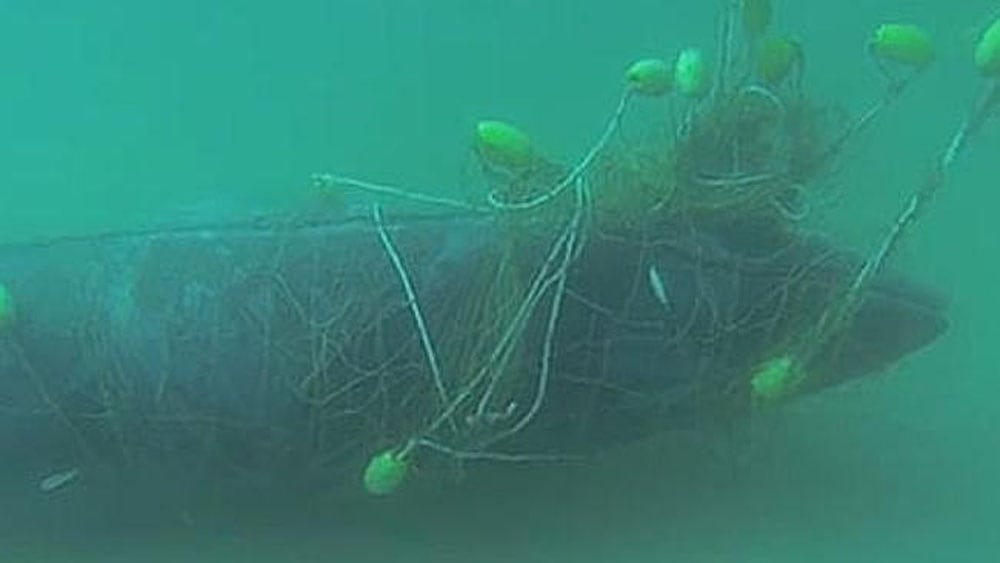 Some facts about shark nets