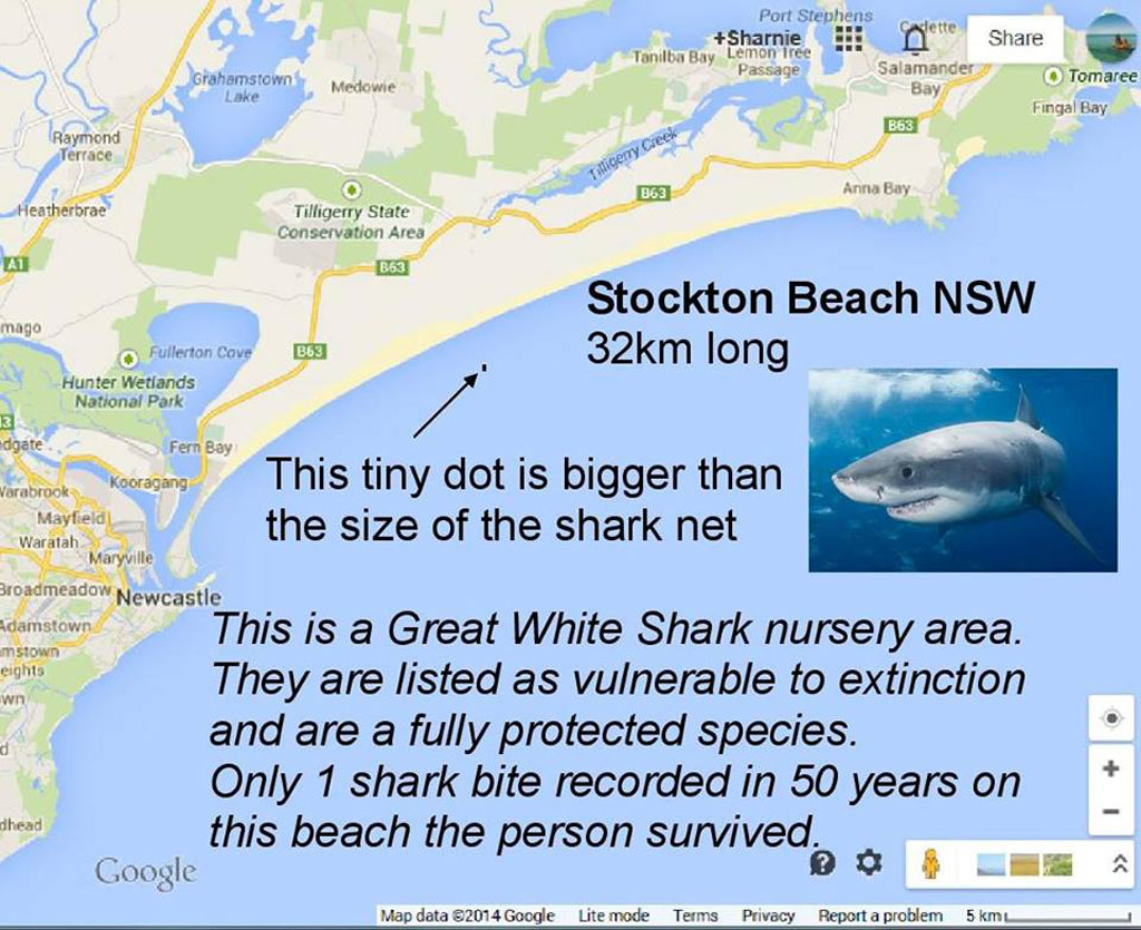 Some facts about shark nets