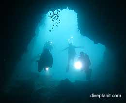 Fish rock cave diving south west rocks feature