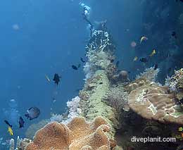 Bonegi diving honiara solomon islands feature
