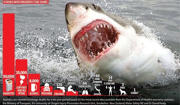 Shark death statistics